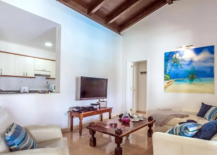 Oasis By 科拉雷侯