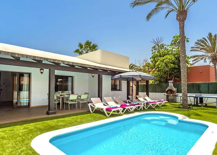 Oasis By 科拉雷侯